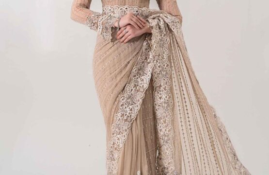Embroidered Chiffon Saree - Maria.B